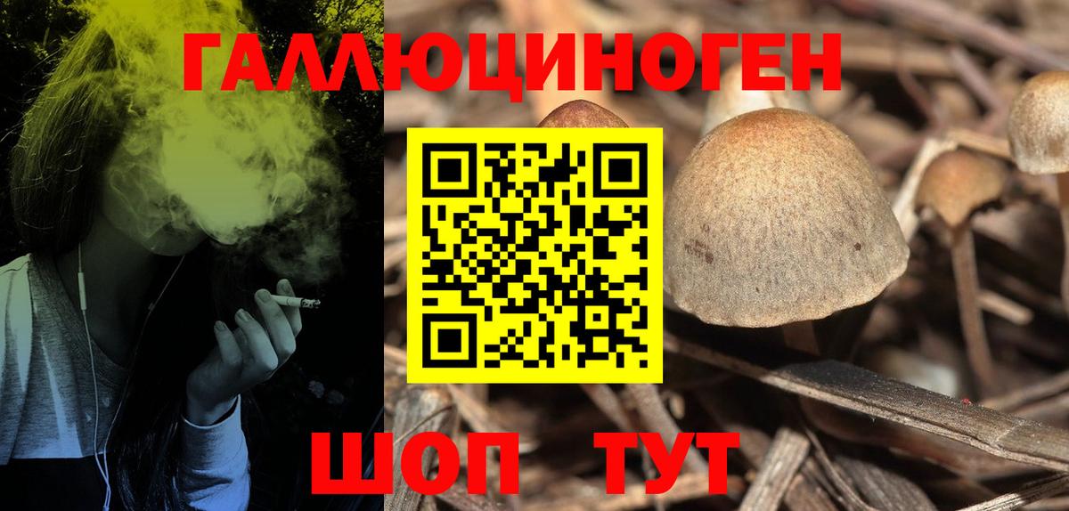 Галлюциногенные грибы MAGIC MUSHROOMS Люберцы